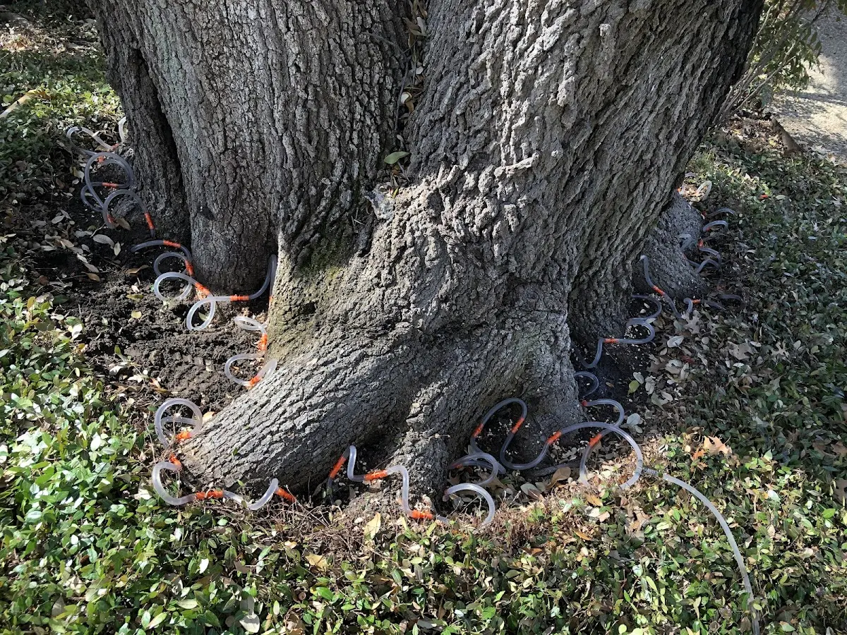 Detailed Shrub and Hedge Trimming job site in Krebs