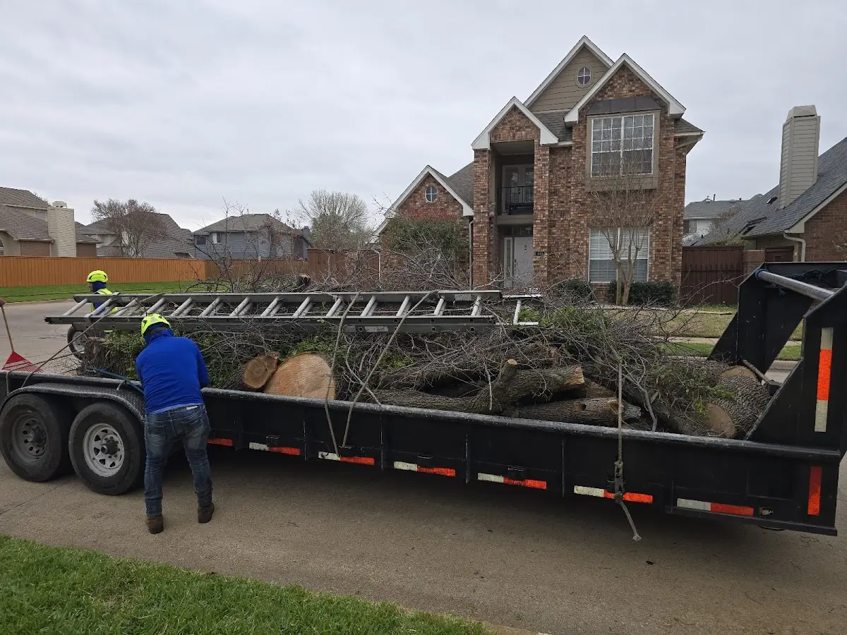 Expert Tree Removal with proper safety equipment in Krebs